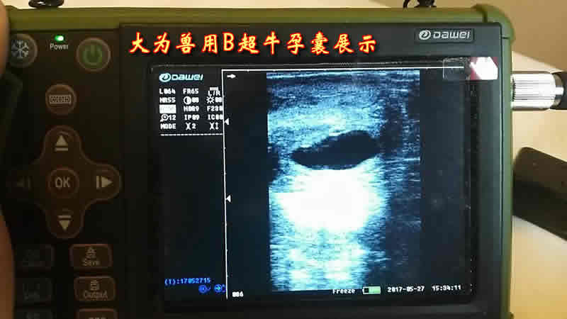 獸用b超,農(nóng)閑時(shí)節(jié)掙錢(qián)